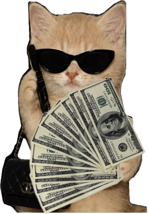 A cat holding cash, used as a playful symbol of a healthier store